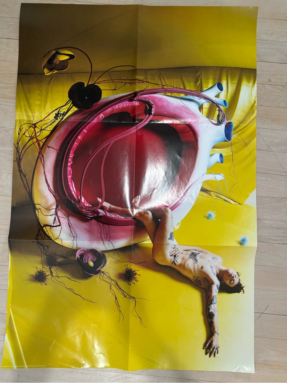 Harry styles Pink and yellow double sided poster
